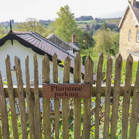 Plum Tree Дом отдыха